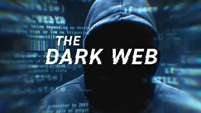 nexus darknet nexus url - о компании